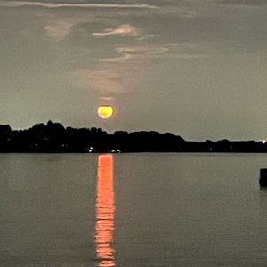 Meet your Posher, Les